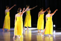20   Fusion 16